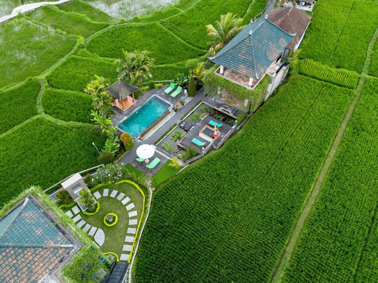 Cahaya Ubud Villa Exteriör bild