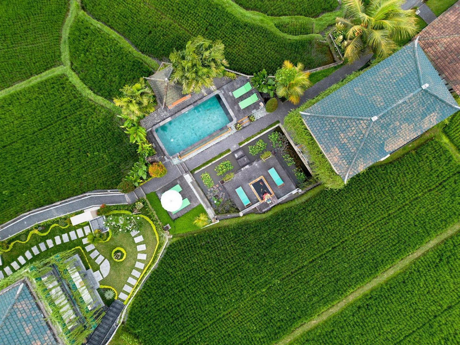 Cahaya Ubud Villa Exteriör bild