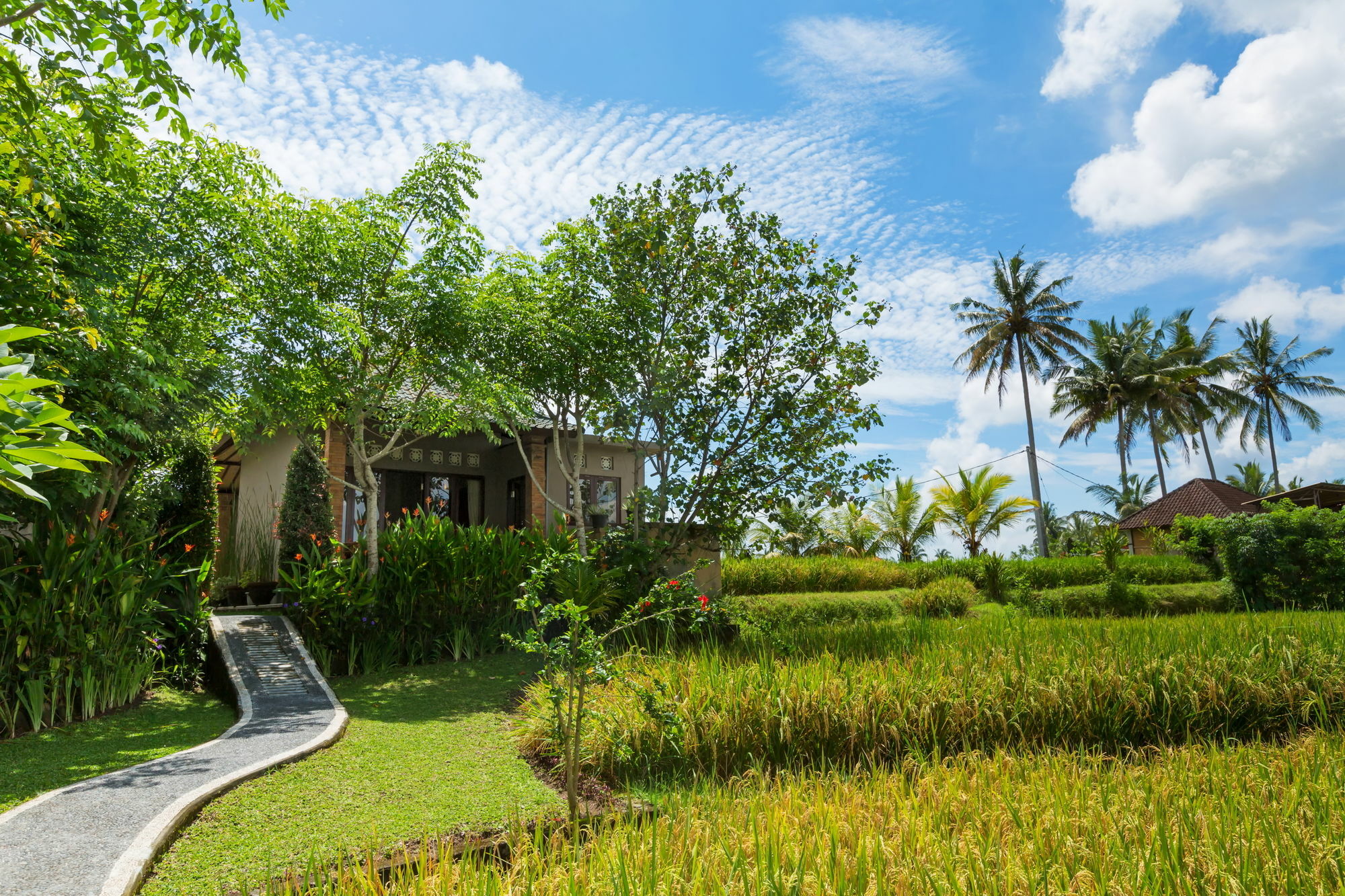 Cahaya Ubud Villa Exteriör bild